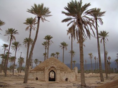 آتش‌سوزی در باغ شامحمدی