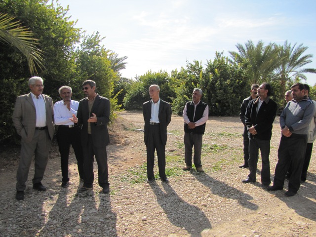 باغداران گراشی از باغات مرکبات جویم بازدید کردند