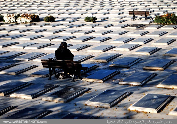 عکس هایی که برنده شدند