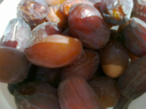 مجول، خرمایی جدید در خنج