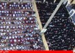 DSC00581