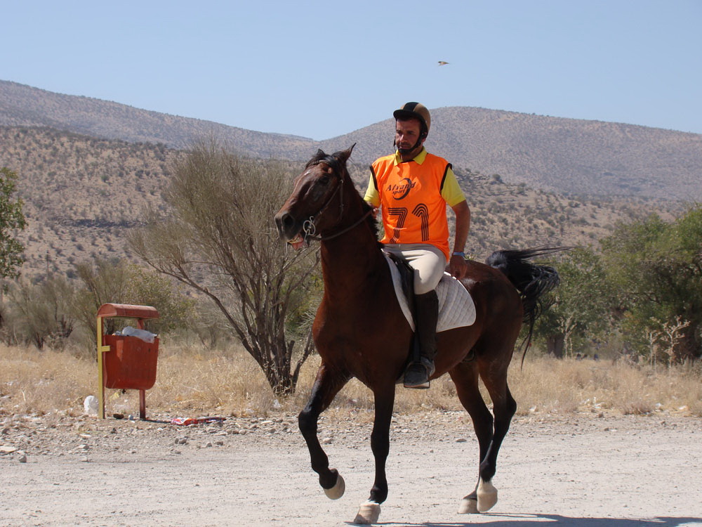 در ارسنجان؛سوارکاران گراشی درخشیدند