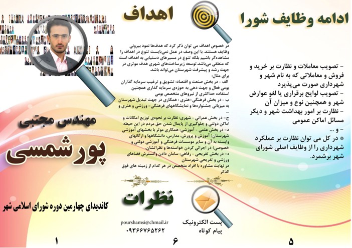 مجتبی پورشمسی به دنبال تشویق سرمایه‌گذاران بومی