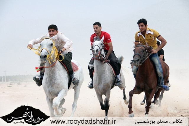 اسب‌سواری برای جام صلح و دوستی