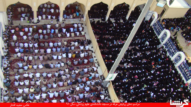 dohayeh arafeh