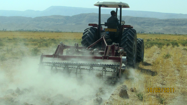 kesht shatve اراضی کشاورزی گراش آماده برای کشت شتوی