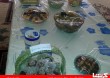 food1