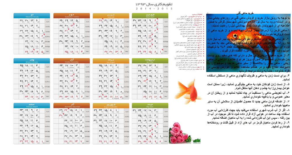 اداره‌ی دامپزشکی: دقت در خرید و نگهداری ماهی گلی