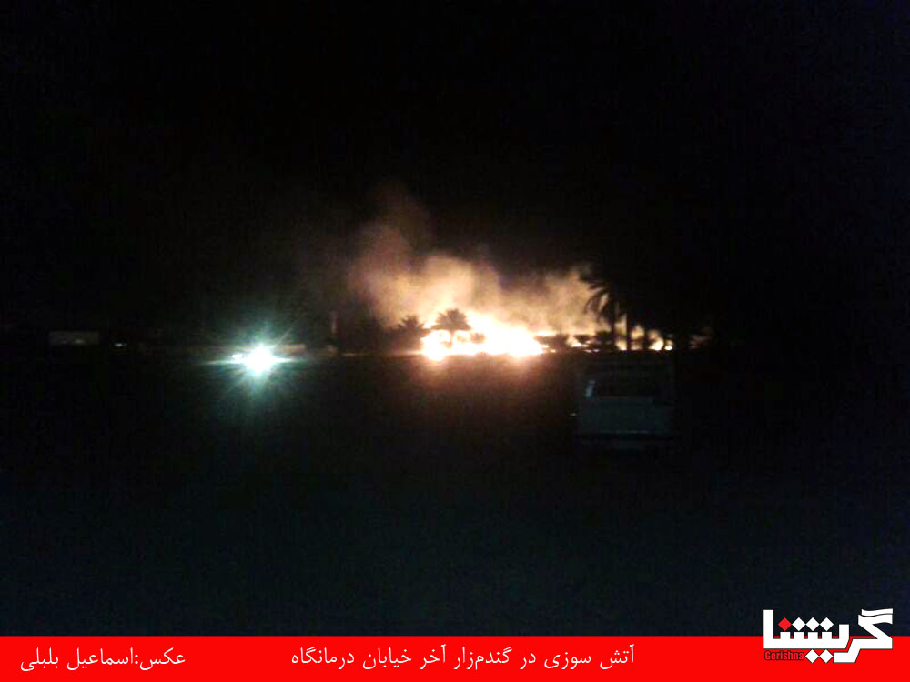 آتش در مزرعه گندم