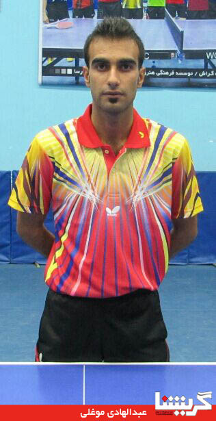 Hadi Mogholi