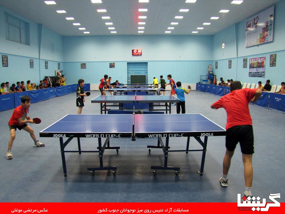 ping pong7