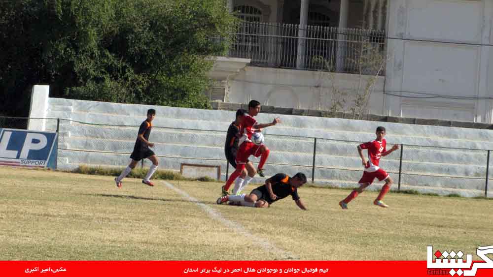 helal ahmar311