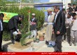 139312 Farmandari 8