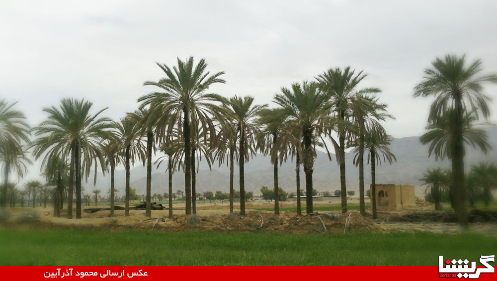 امید به بازگشت باران