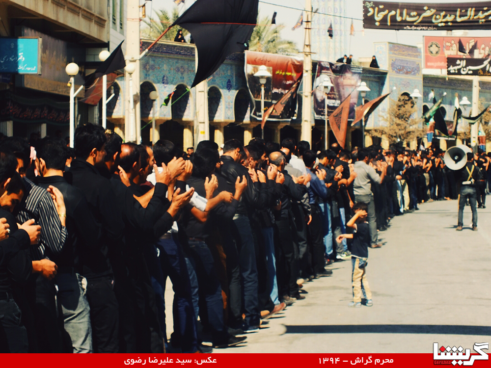 گزارش تصویری ۸- کلنا عباسک یا زینب