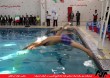 LigeShena 8