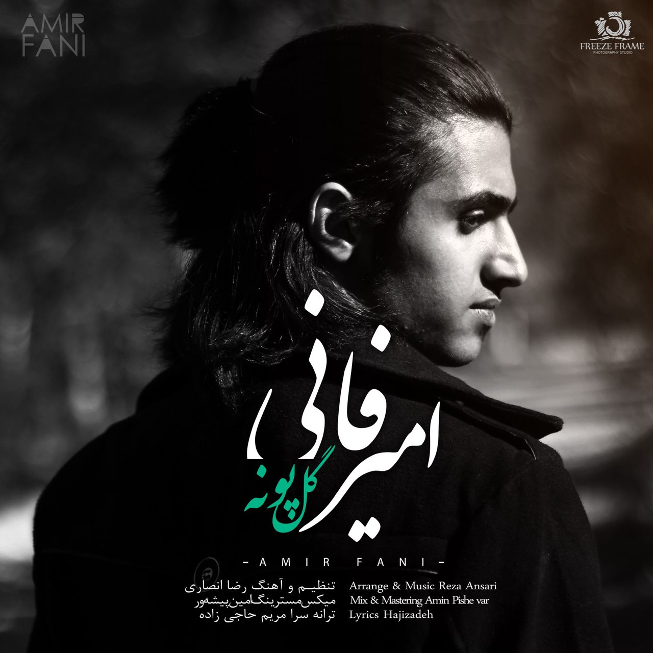 Amir Fani