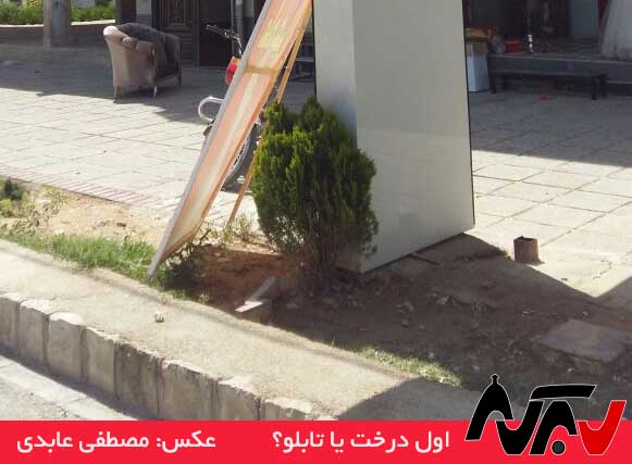 Az Cheshme Shoma 004 از چشم شما – ۴: اول تابلو بود یا اول درخت