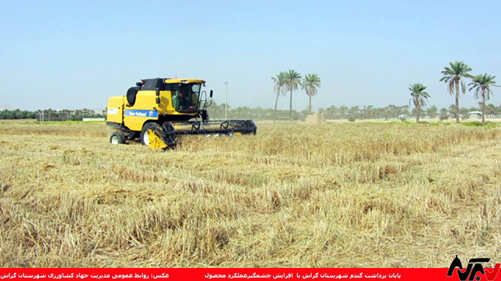keshavarzi1 سال خوب گندمکاران شهرستان گراش