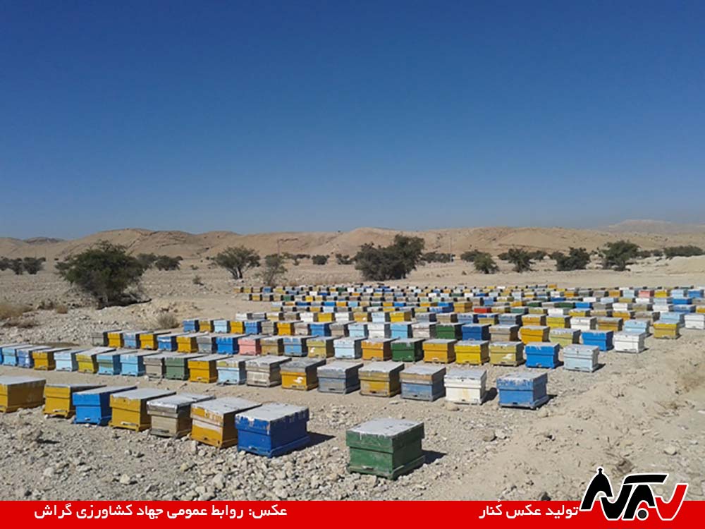 Zanboor Asal 1