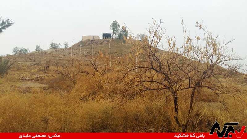 از چشم شما ۲۹: یادگار حاج آقا اسماعیلی خشک شد