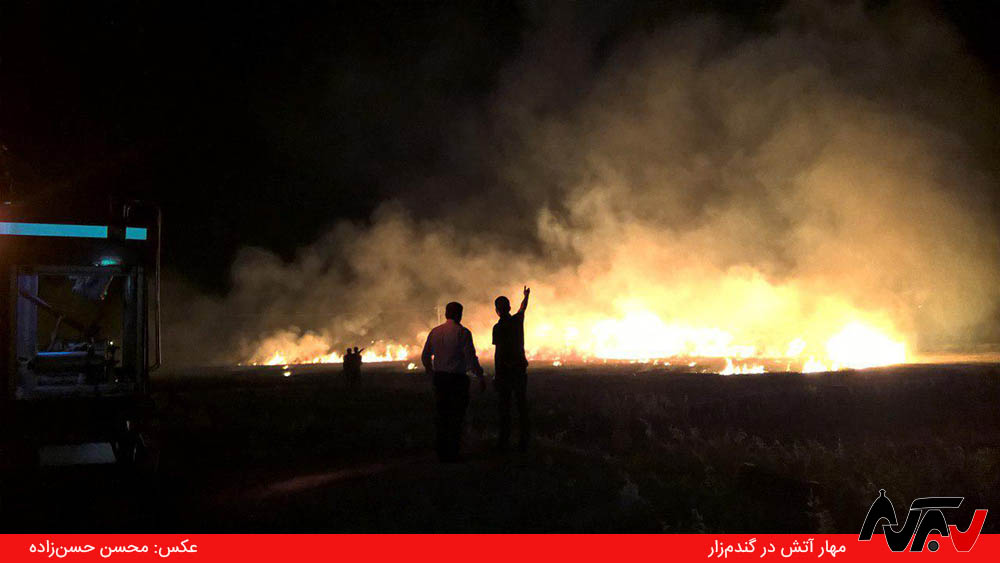 مهار آتش خشمگین در گندم‌زار