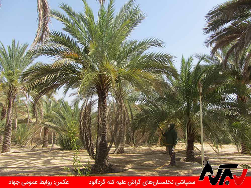 Afat Nakhl 2