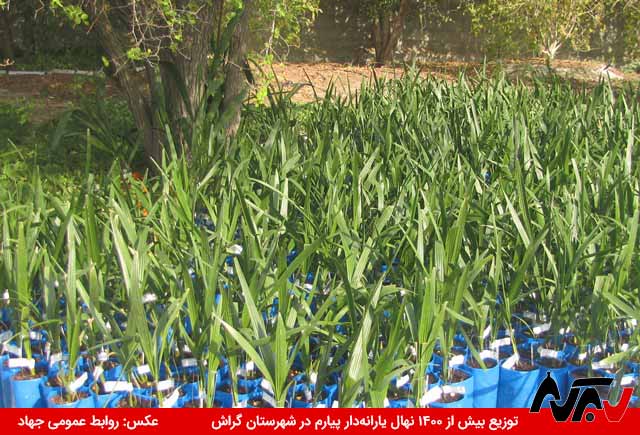 13960723 Jahad Piaram 1