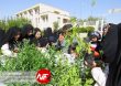 Hamyaran Tabiat 6
