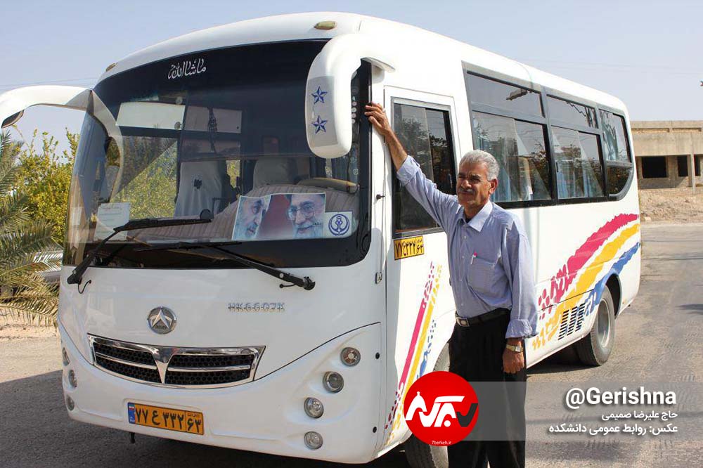 مرگ با نیش زنبورهای قاتل