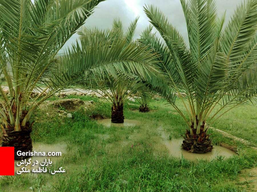 گزارش ۹۷: نیمه پر لیوان در پاییز و زمستان ۹۷
