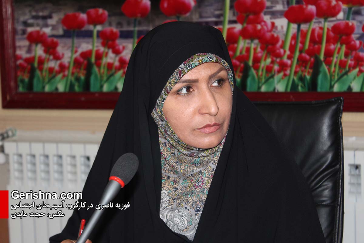 ناصری: سکوت کردم تا نهادهای نظارتی به وظیفه‌شان عمل کنند