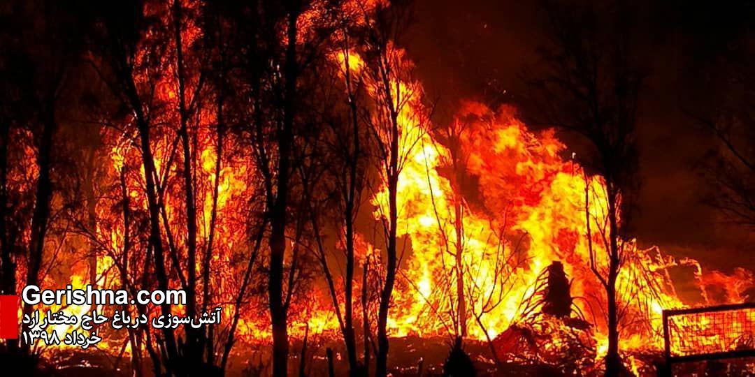 خطر آتش‌سوزی و مار جدی‌تر از همیشه