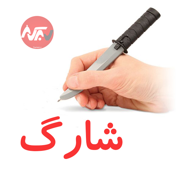 شارگ ۵: اندر باب چاه غیر مجاز، سد سوراخ، باغ‌شهری و خط‌کشی