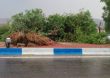 tofan2