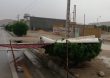 tofan6