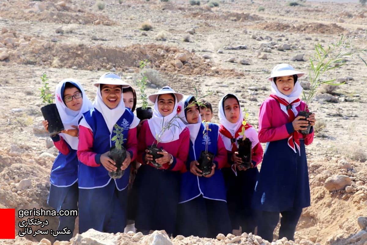 ۱۵۰۰ نهال جدید در پارک جنگلی تنگ‌آب کاشته شد