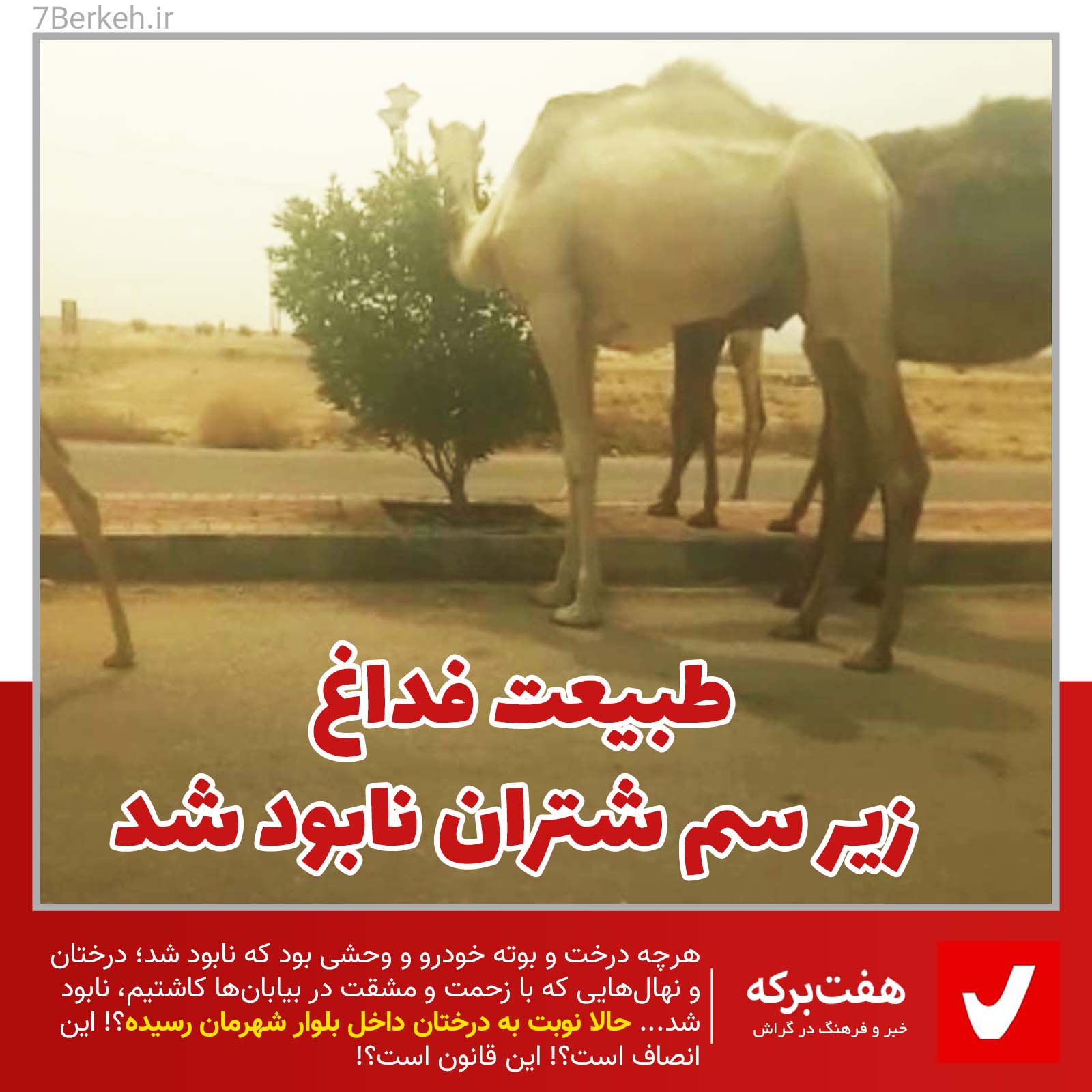 Fedagh Shotr 2