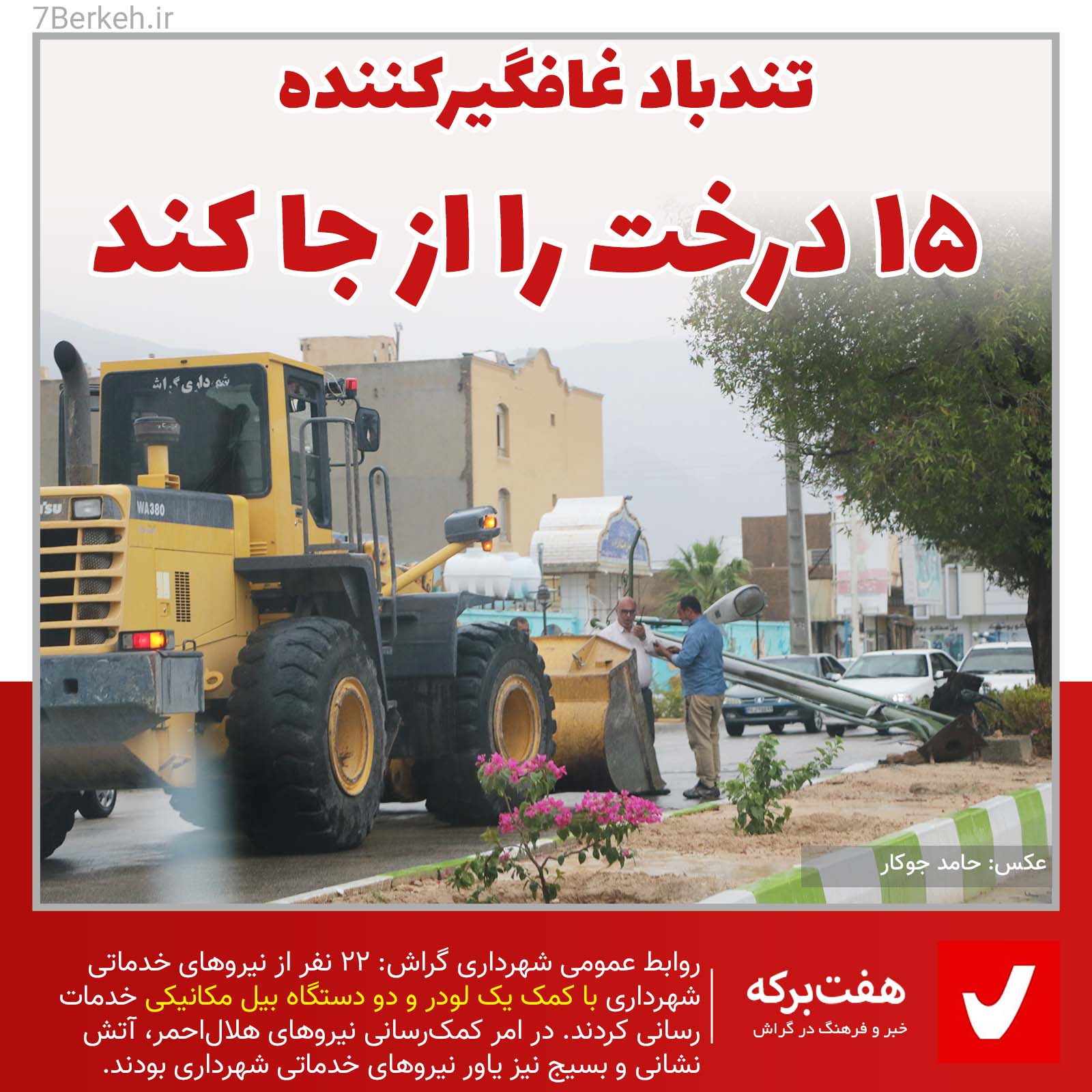 تندباد غافلگیرکننده ۱۵ درخت را از جا کند