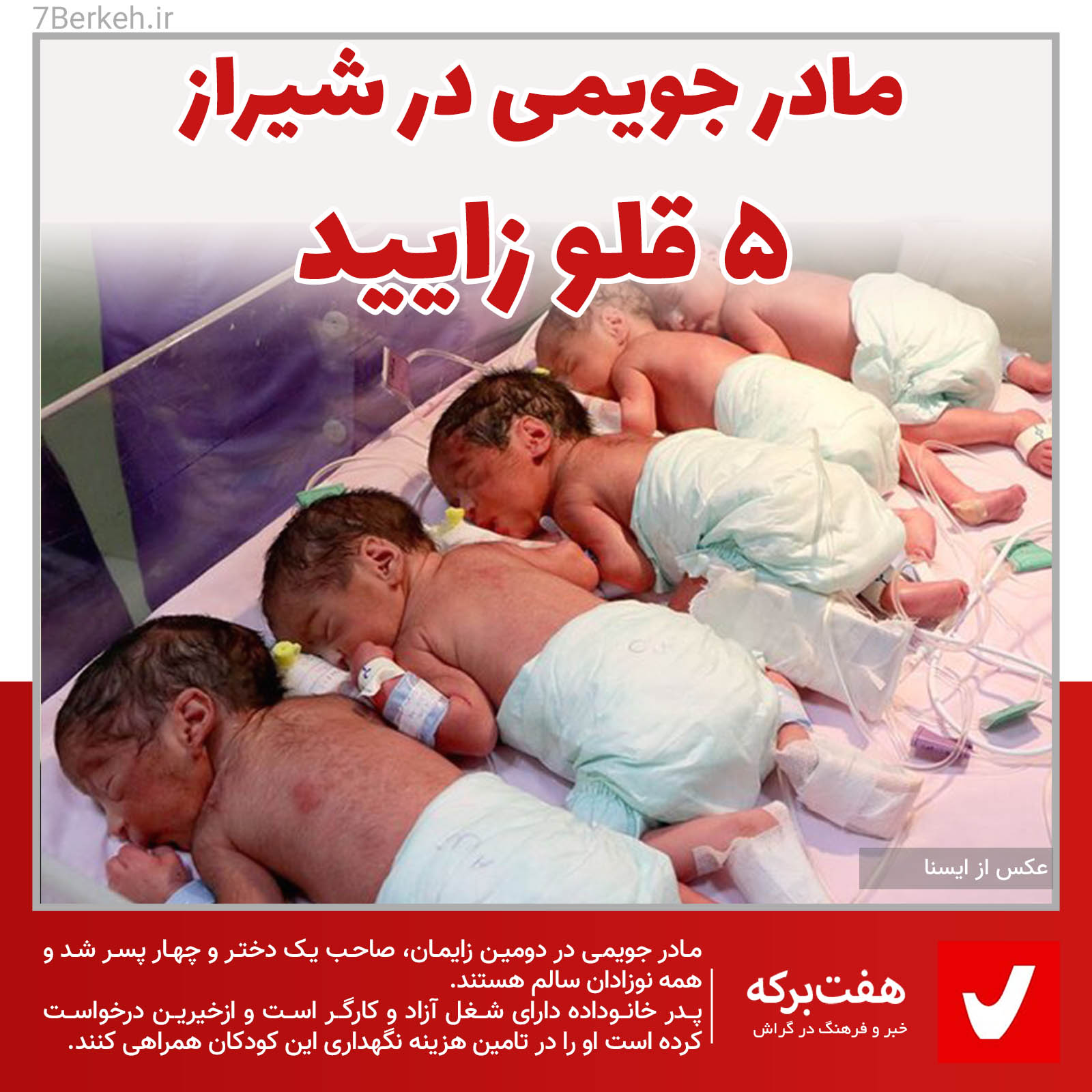 مادر جویمی در شیراز ۵ قلو زایید