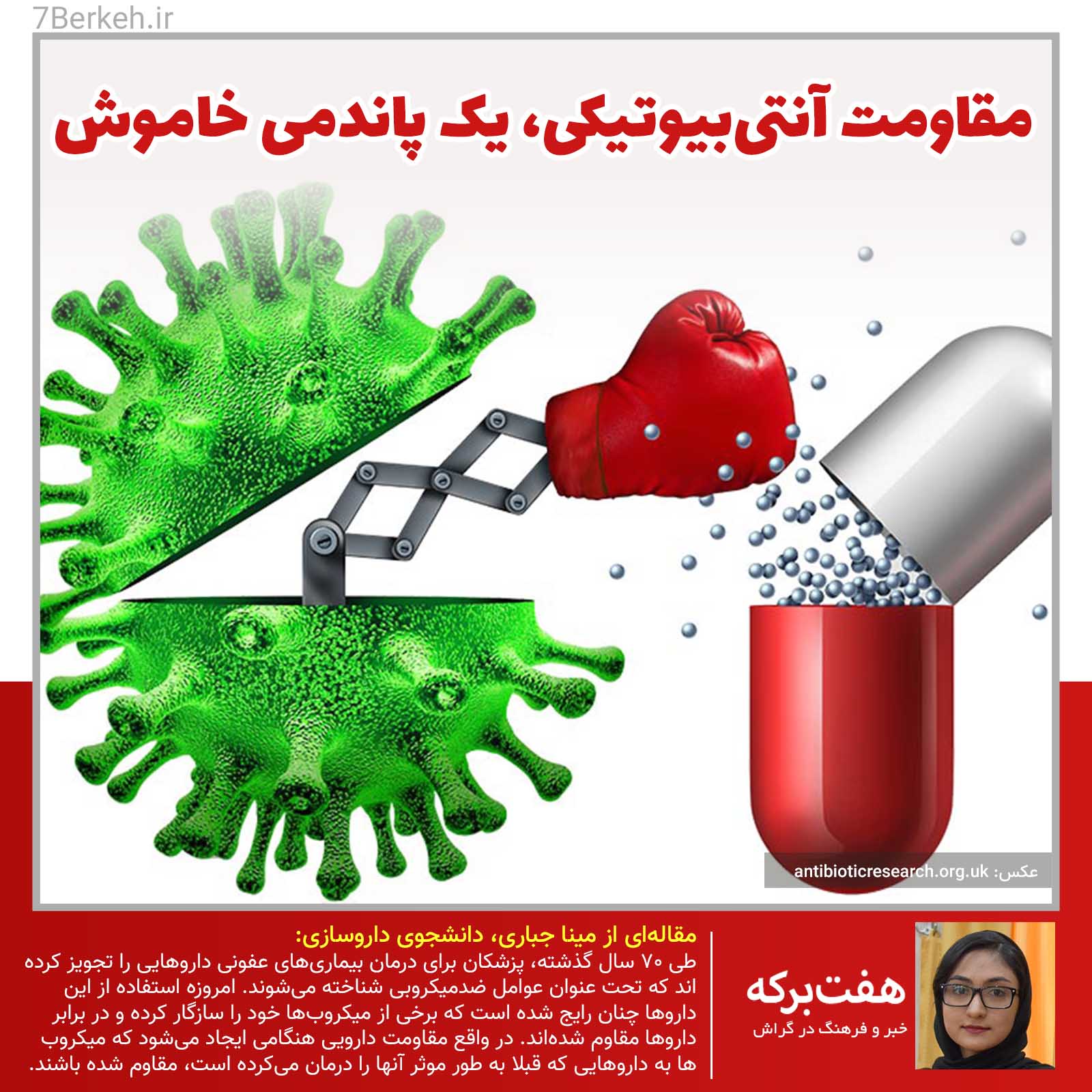 Antibiotic Bacteria