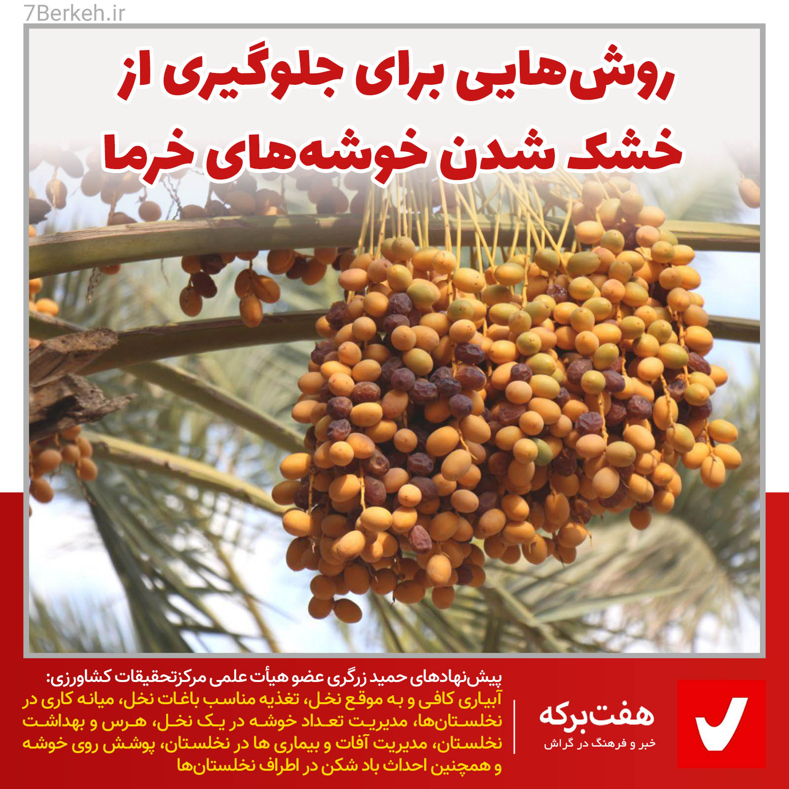 Nakhl