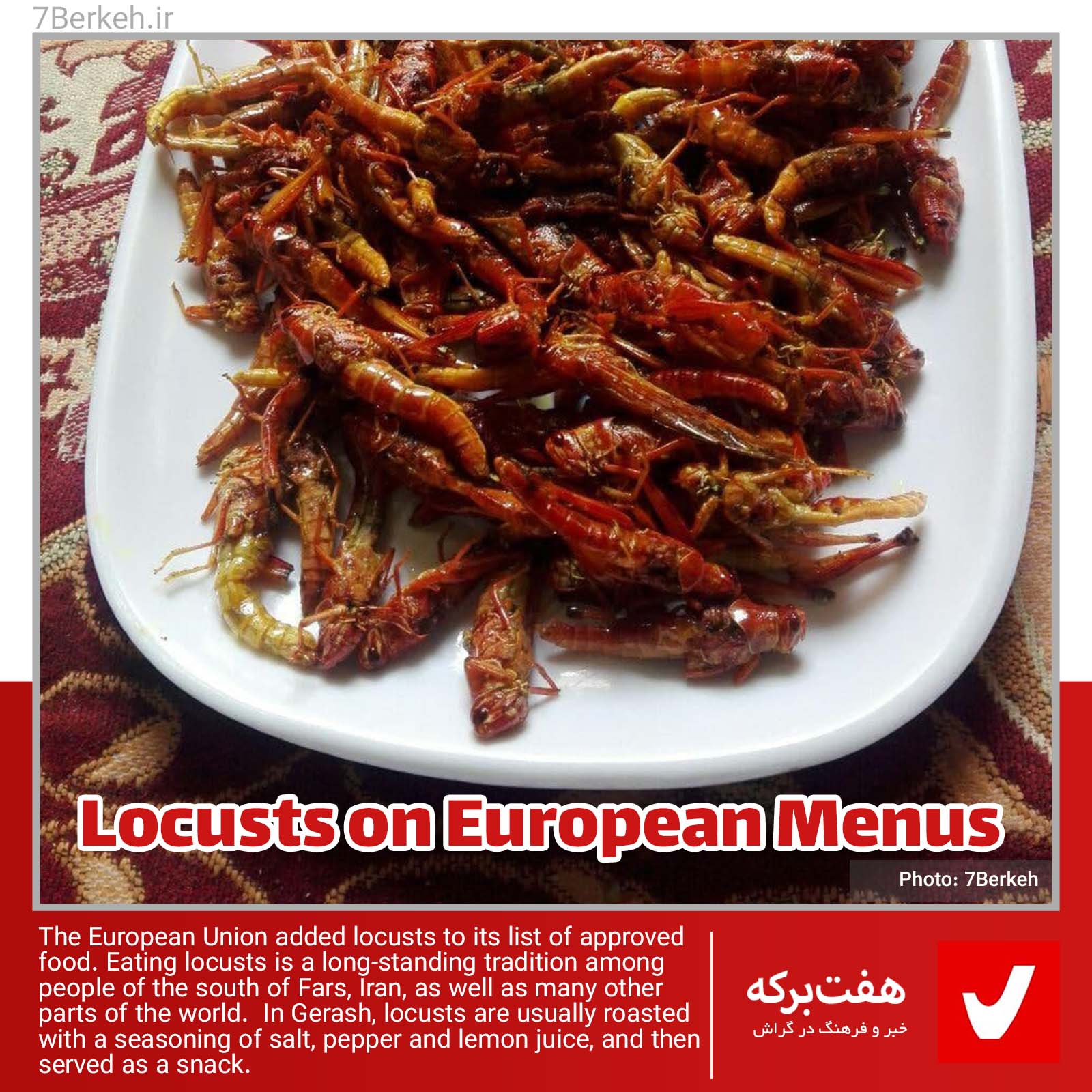 Locusts on European Menus
