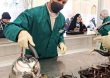 mokeb8