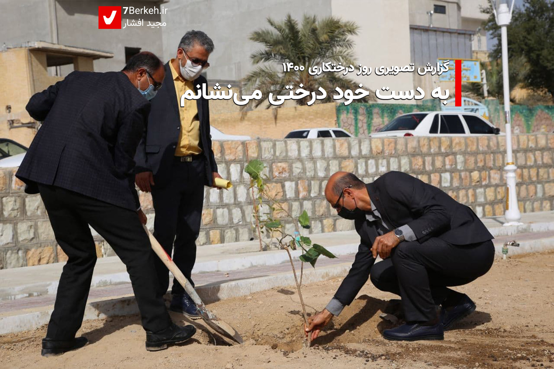 Derakhtkari به دست خود درختی مینشانم