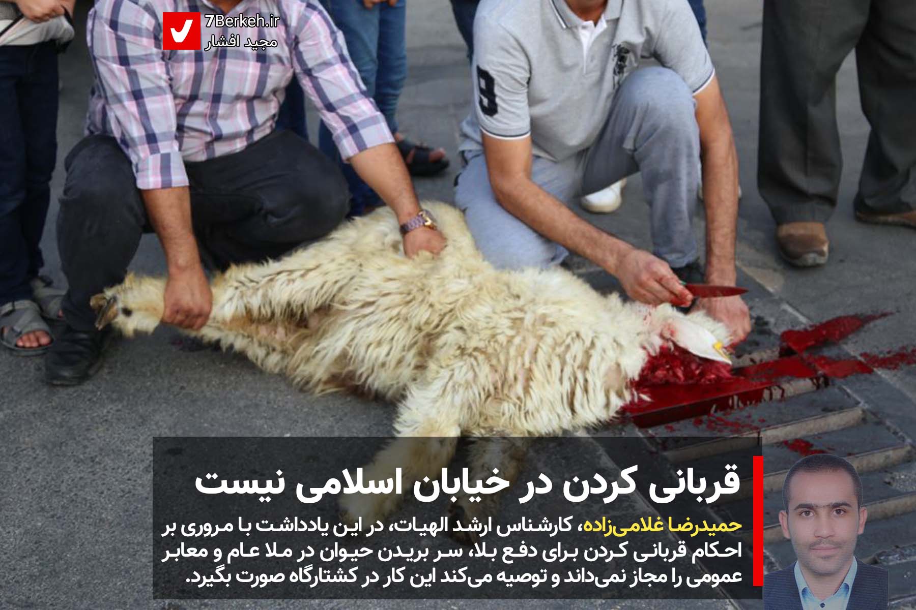 14010414 Qorbani Khiaban 05