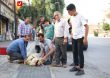 ghorbani5