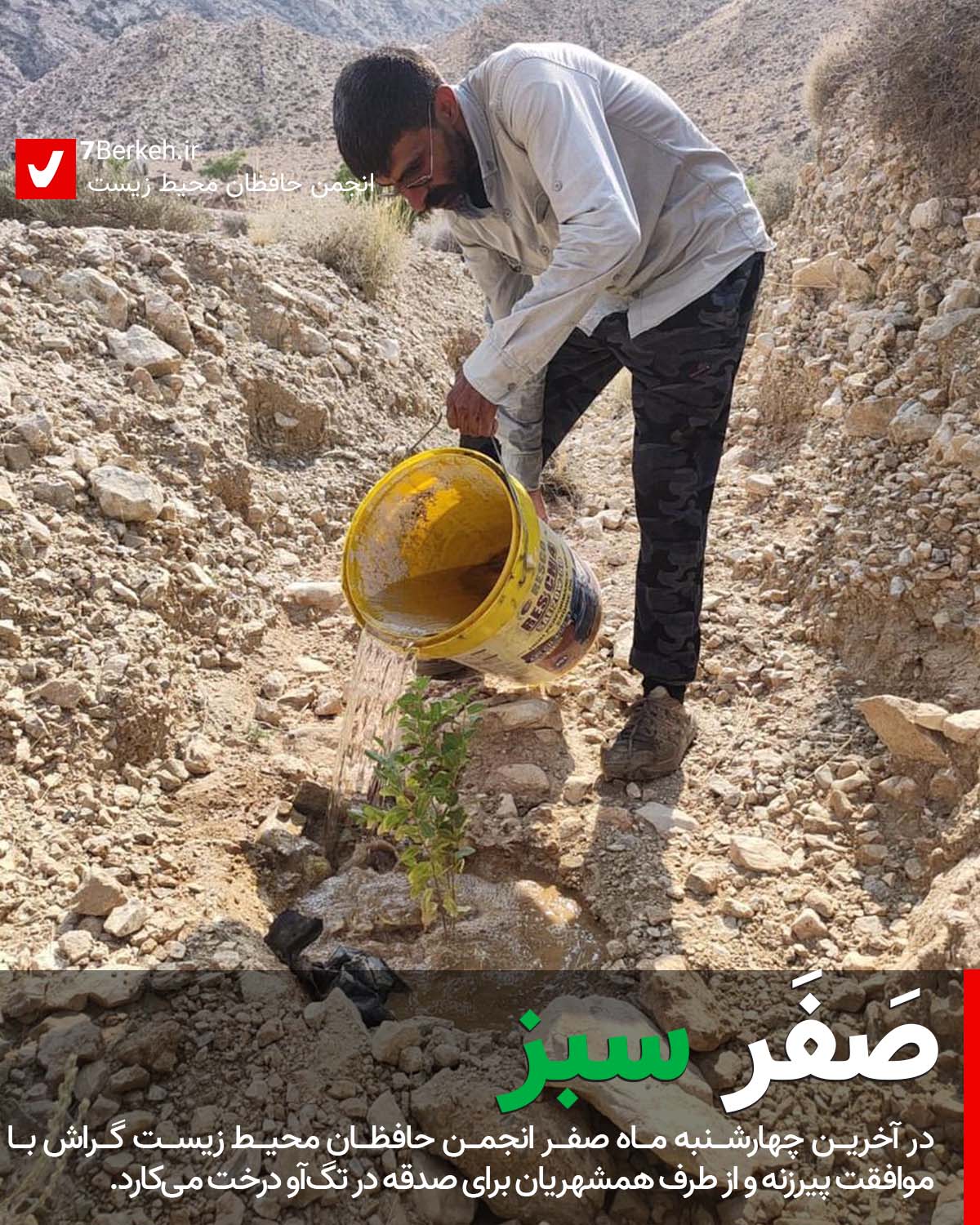 صَفر سبز: کاشت درخت در چارشمبد آخر ماه صفر