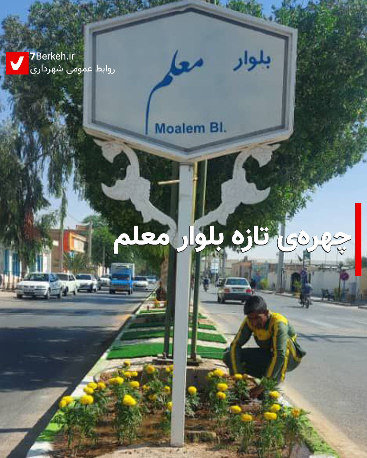 7Berkeh-News چهرهی تازه بلوار معلم