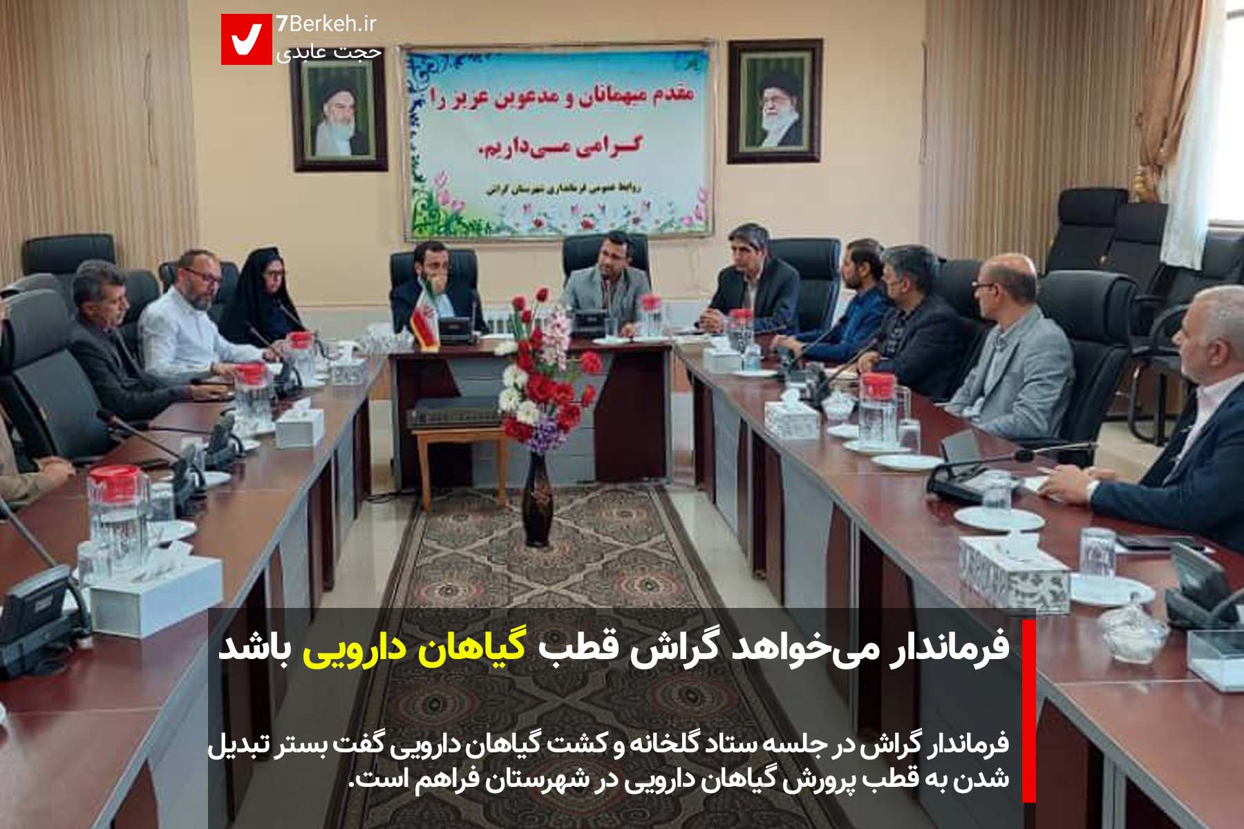 فرماندار می‌خواهد گراش قطب گیاهان دارویی باشد